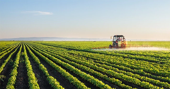 Cómo Afrontar Escasez Mano de Obra Agrícola | Eurofirms