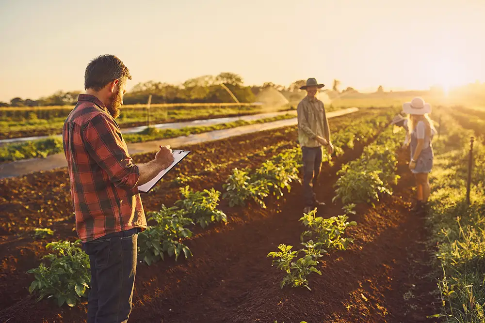 Eurofirms Especialistas Personal Cuadrillas Agrícolas | Eurofirms