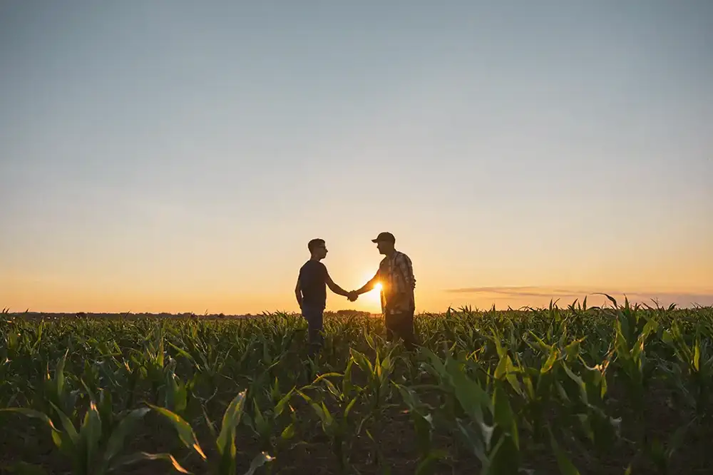Outsourcing Gestión Equipos Agrícolas | Eurofirms