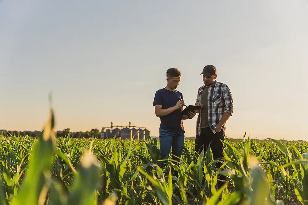 Verificación Documental Gestión Administrativa Agrícola | Eurofirms